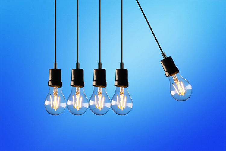 bulbs